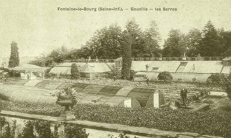 Fontaine-le-bourg - Seine Maritime