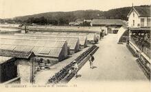 Thomery - Seine-et-Marne