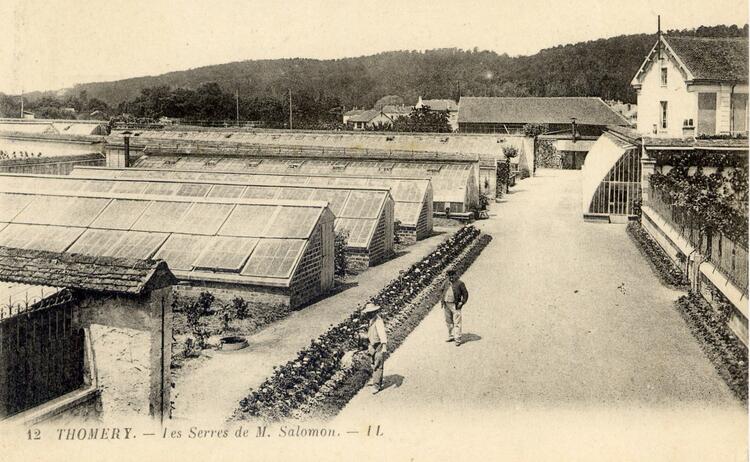 Thomery - Seine-et-Marne