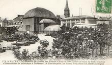 Nantes - Loire-Atlantique