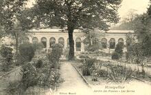 Montpellier - Hérault