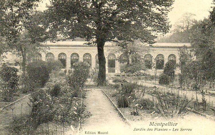 Montpellier - Hérault