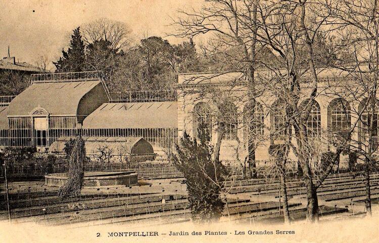 Montpellier - Hérault