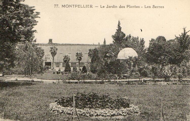 Montpellier - Hérault