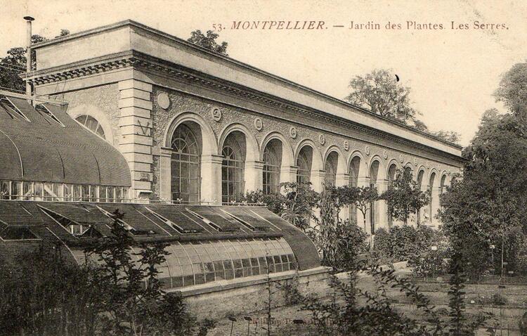 Montpellier - Hérault