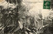 Villepreux - Yvelines