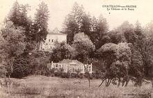 Chatillon-sur-Saone - Vosges