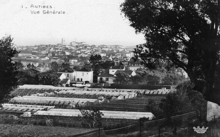 Antibes - Alpes-Maritimes