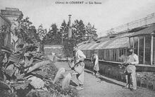 Coubert - Seine-et-Marne