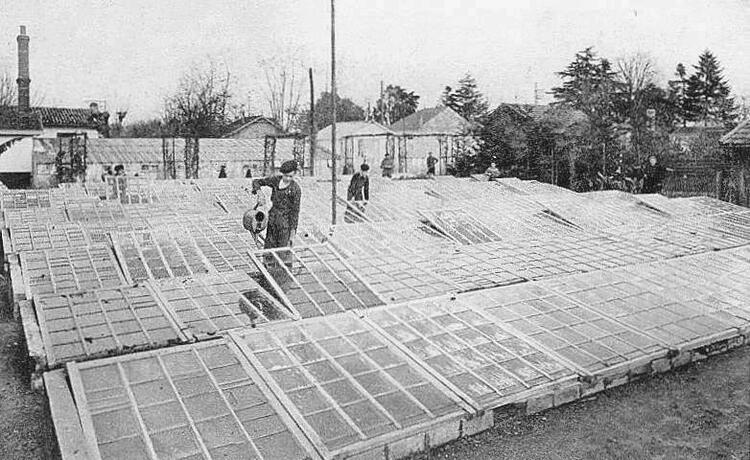 Villenave-d'Ornon - Gironde