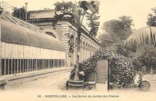 Montpellier - Hérault