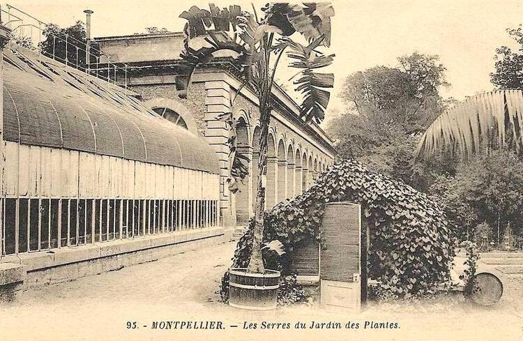 Montpellier - Hérault